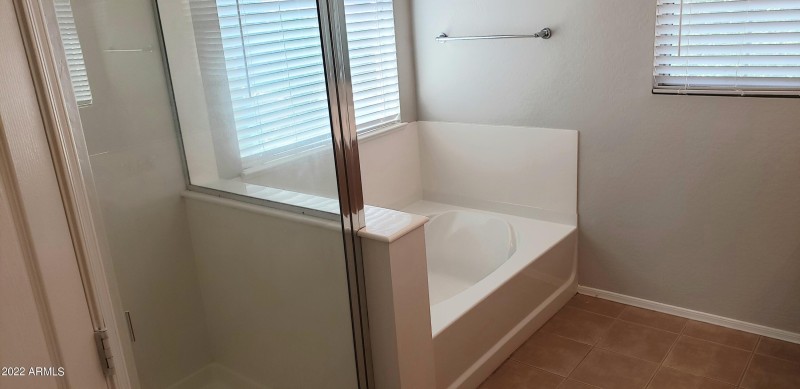Master bath 1