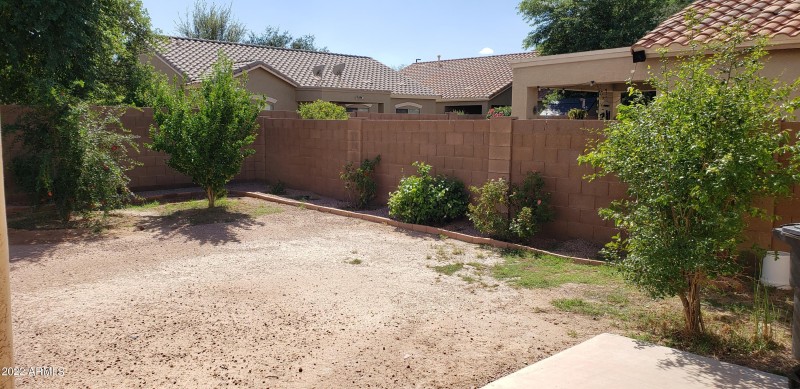 Back yard 1