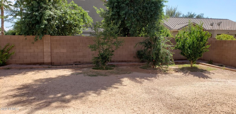 Back yard 2