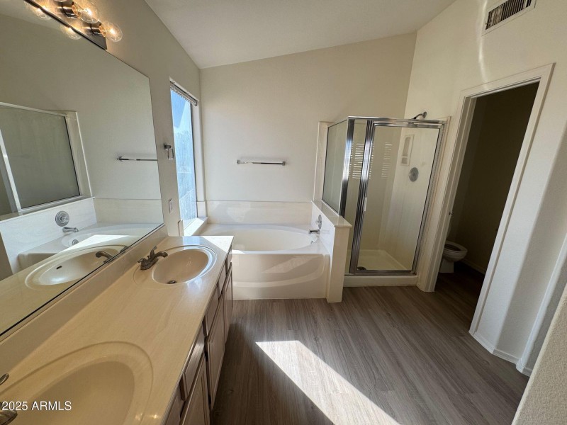 Master Bathroom 3