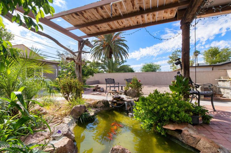 aspen rear yard view 4