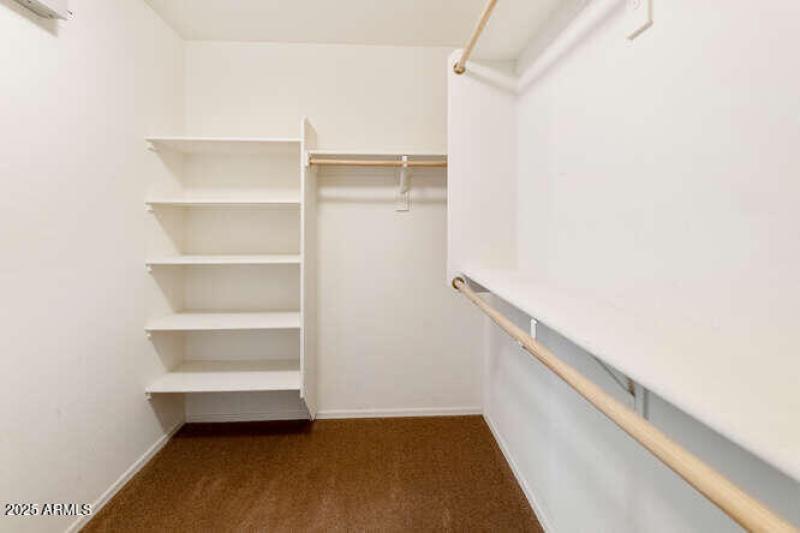 Primary walk in Closet