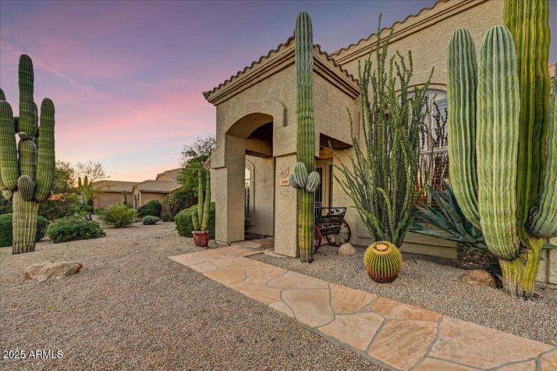 Entry walk with stately Saguaros