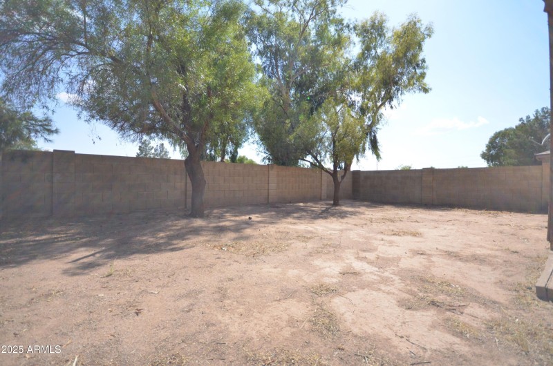 BACK YARD