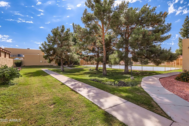 Plenty of grassy areas