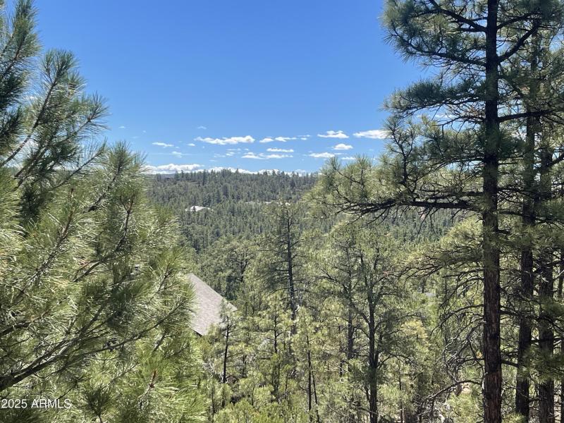861 E Pine Oaks Dr View through trees 1