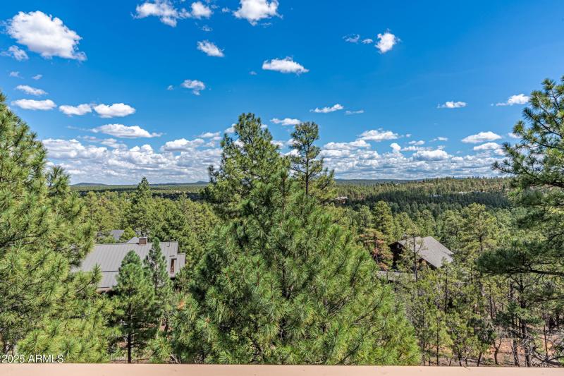 861 E Pine Oaks Dr View through trees 2
