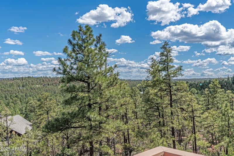 861 E Pine Oaks Dr View through trees 3