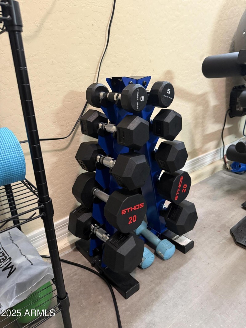 Free Weights