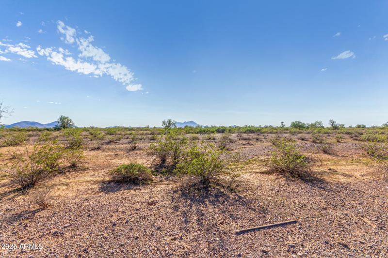 07 - 50635025Q Parcel