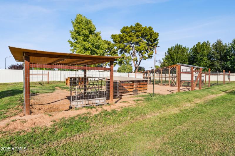 Huge chicken and goat coop