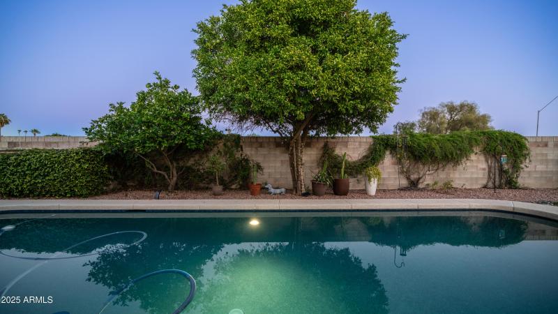 15831 N 47th Pl Exterior Photos-12