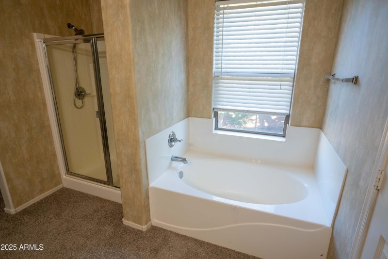 Phoenix House_Web-22