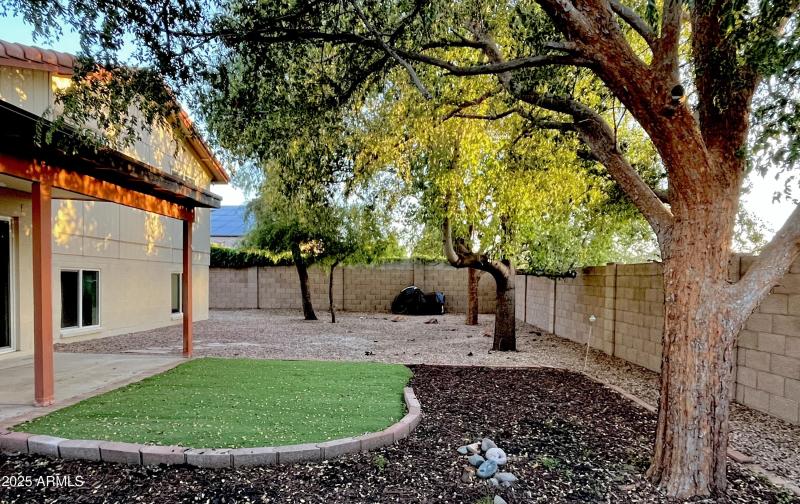 spacious shaded yard