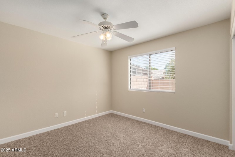 24 - Mesquite