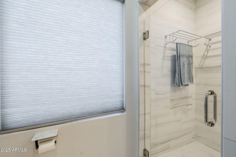 36-web-or-mls-Pine-36