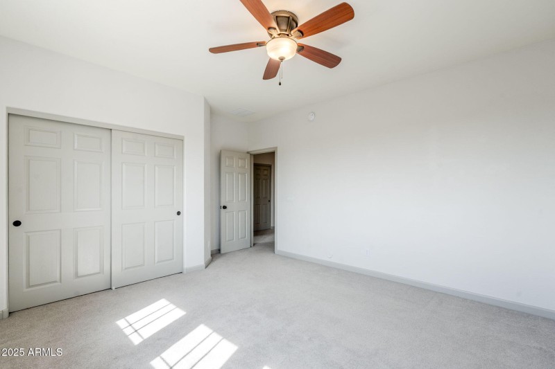 49-web-or-mls-Pine-49
