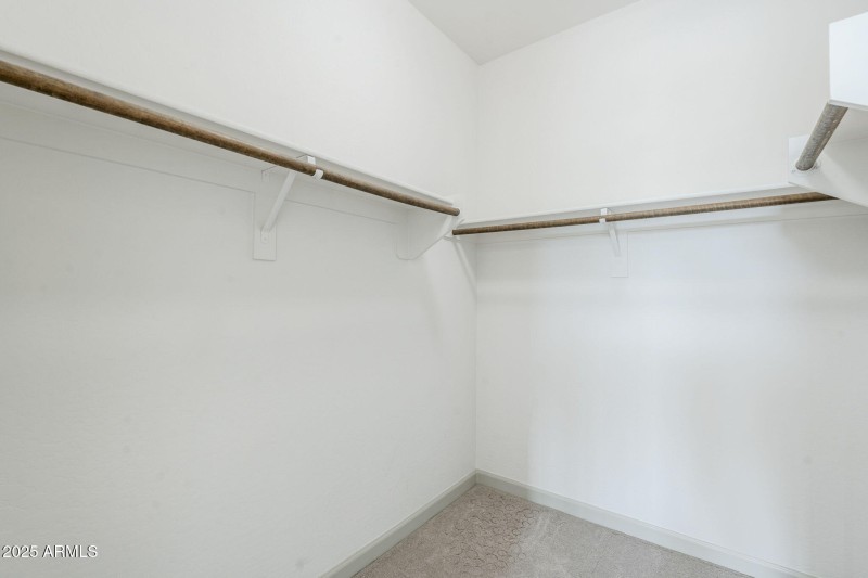 50-web-or-mls-Pine-50