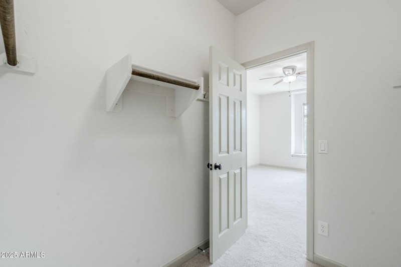 51-web-or-mls-Pine-51