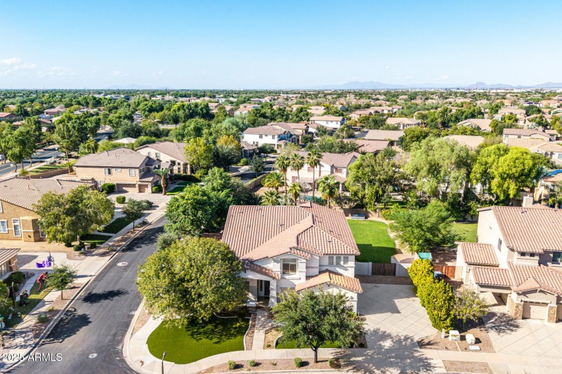 10 - Pine Valley Drone