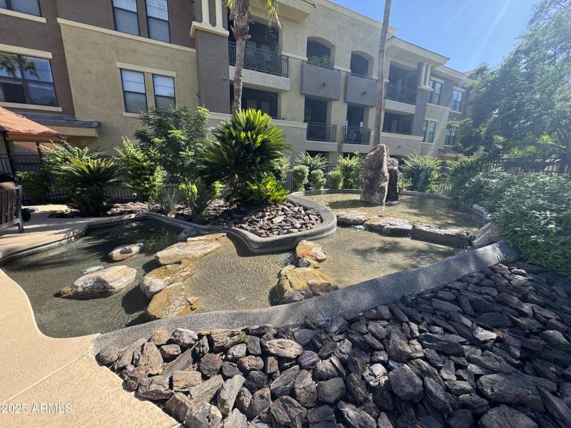 Pool Water Feature