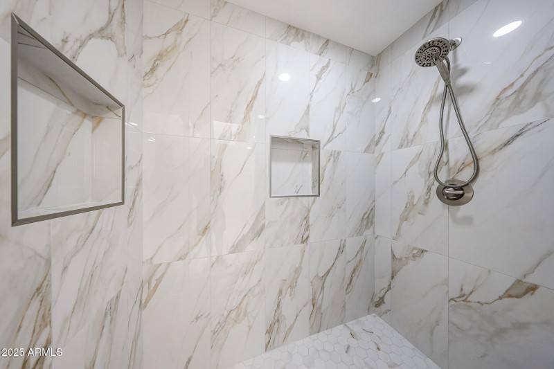 Primary Shower