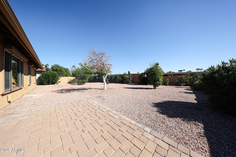 Backyard
