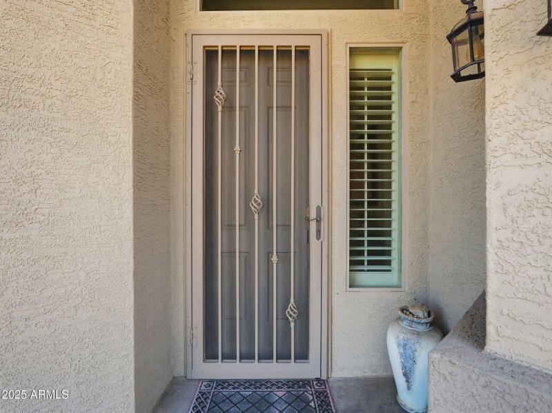 Front Screen Security Door