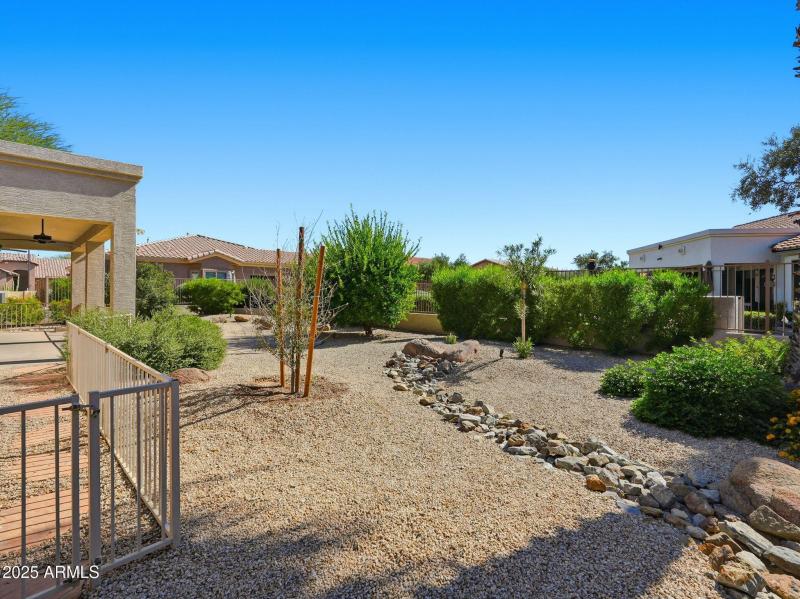 Backyard fruit trees!