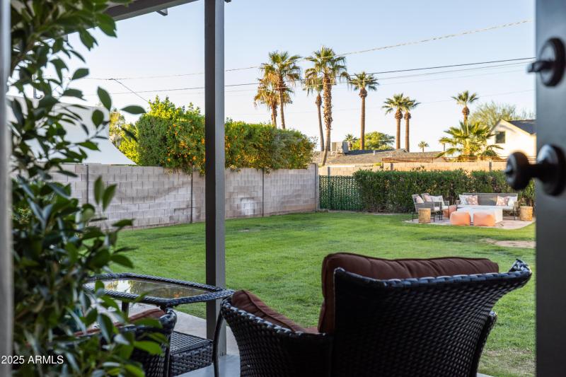 Back Patio