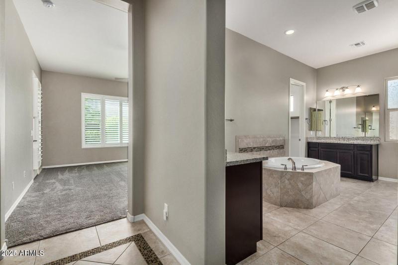 Owner's Suite Bath