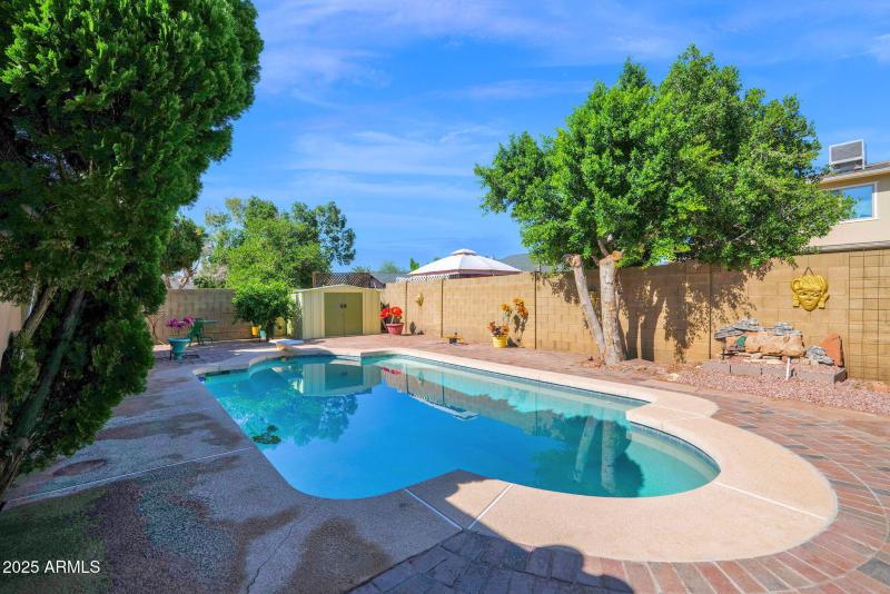 Pool with Plenty of Cool Deck