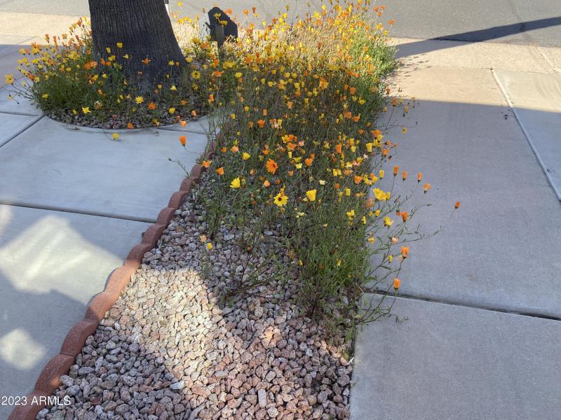 BB0F9090-A28B-4AF0-AA77-3429DD85A2A1