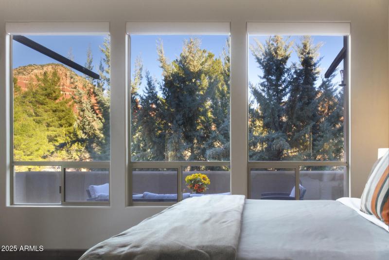 6 MAIN BEDROOM VIEW (1)