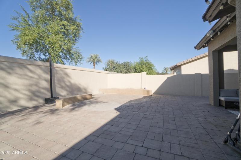 Backyard 1