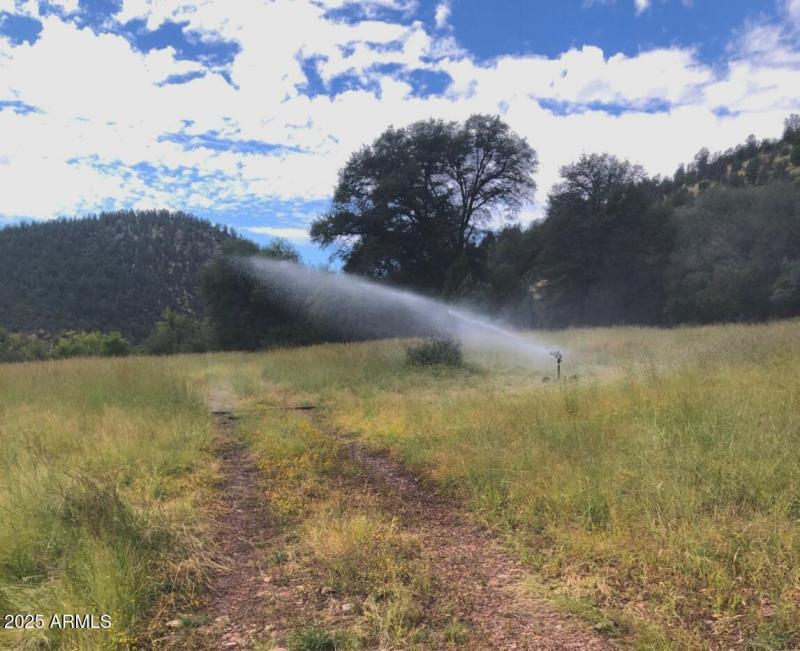 W Ctr Pasture Irrigated fr Creek