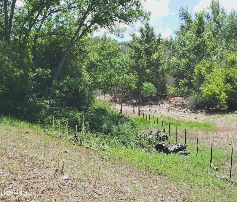 Spring on Ellnwd Hmstd