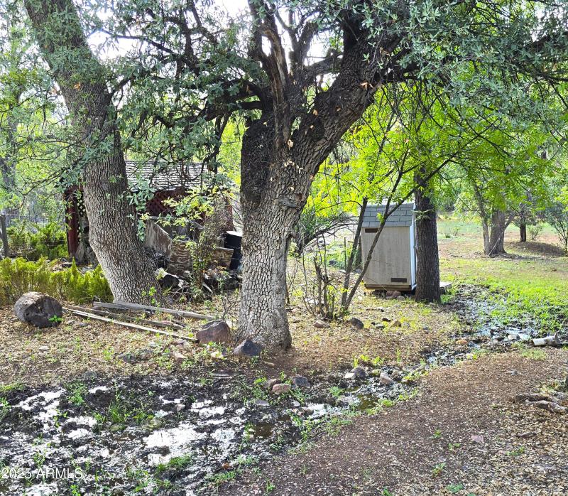 Artesian Well Water twd Creek