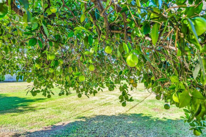 10279 W Snead Cir N-31