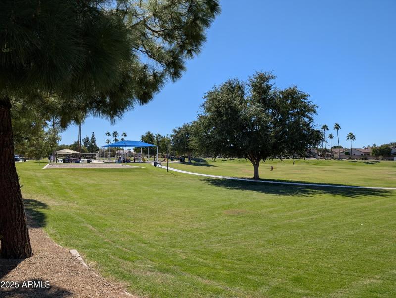 PXL_20251025_193038621