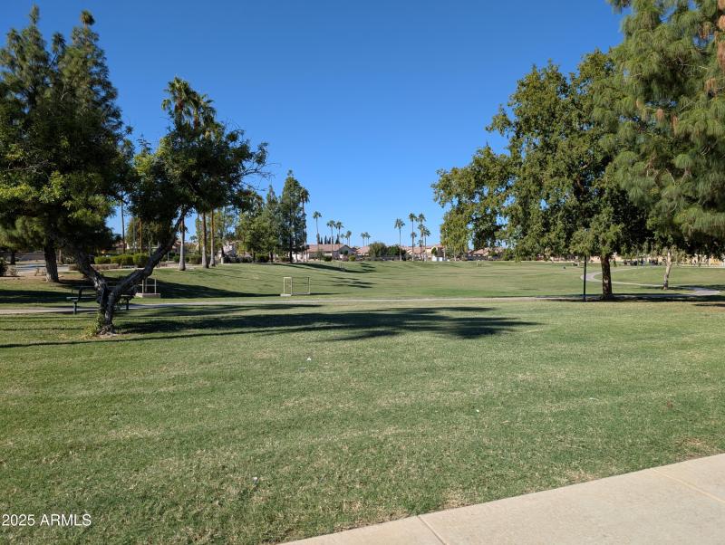 PXL_20251025_193202136