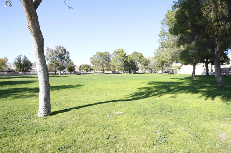 37 Park Across from the House