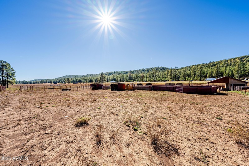 Invoice 2025101401-32