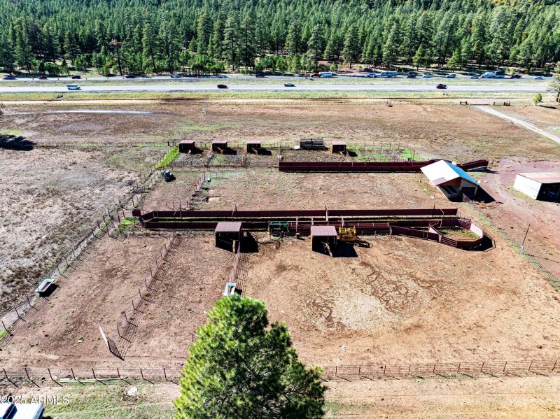 Horse/Cattle Fixtures