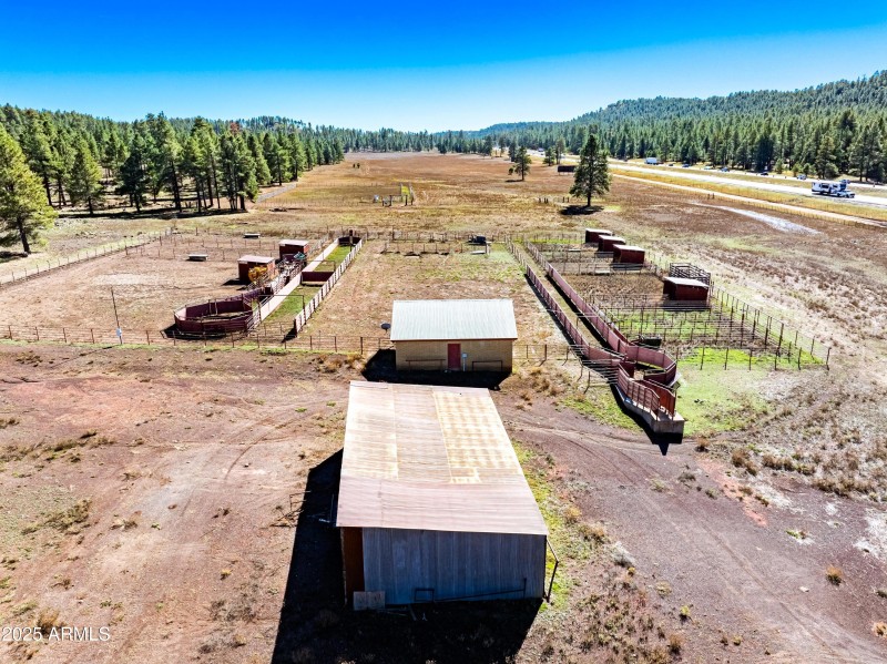 Horse/Cattle Fixtures