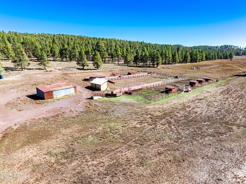 Invoice 2025101401-16