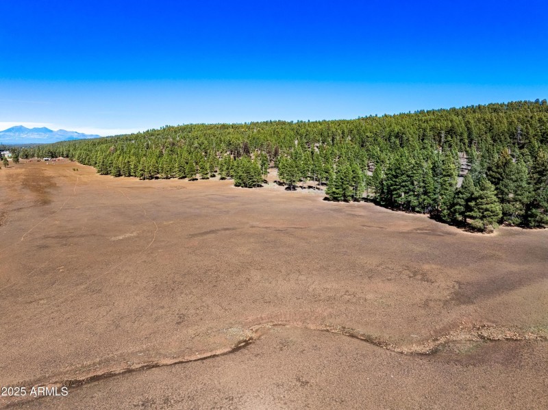 Invoice 2025101401-11