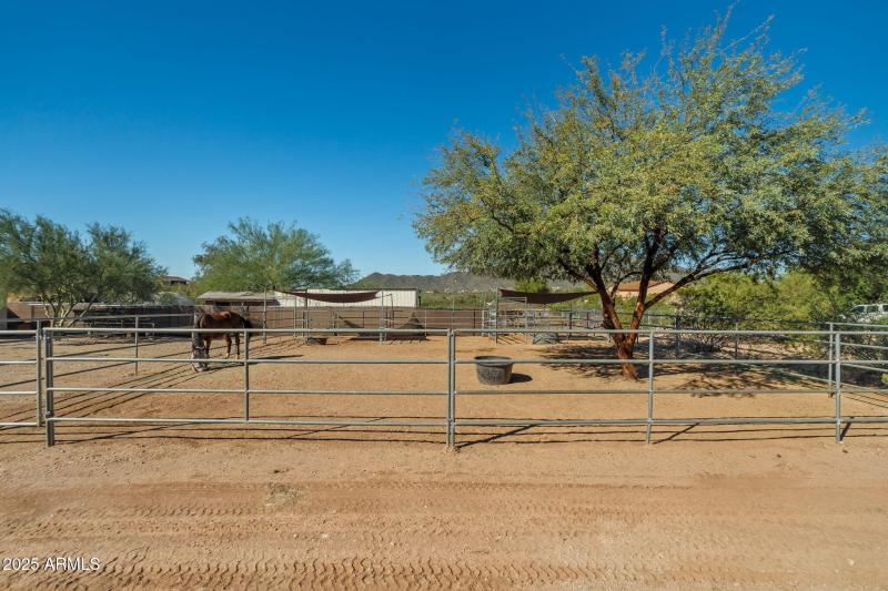 15-web-or-mls-Done-15