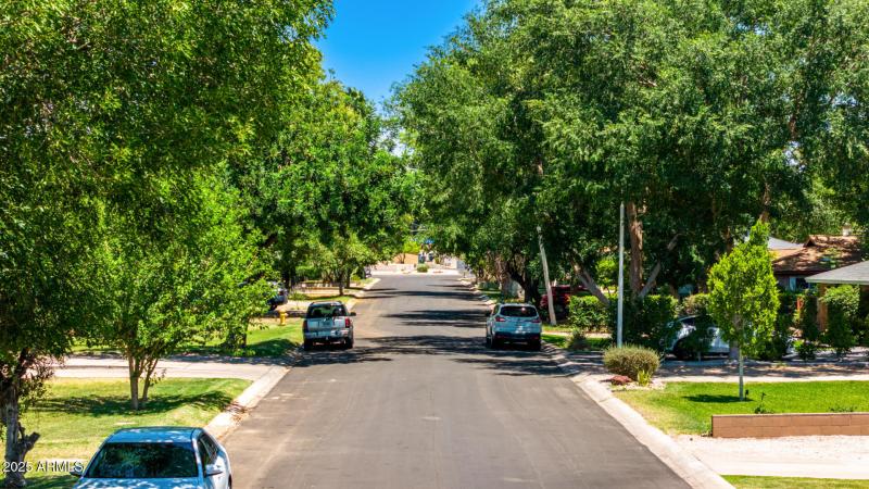 Tree Lined Palo Verde