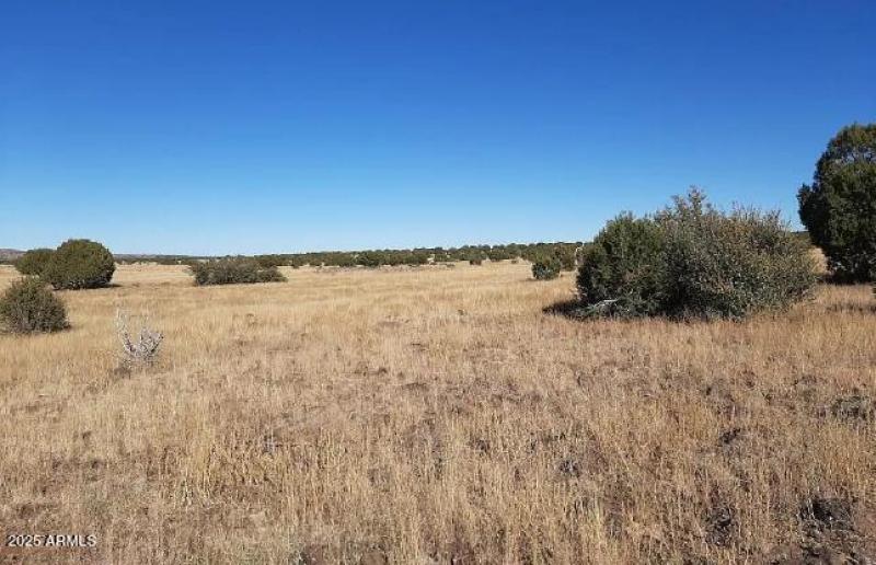 42700 W Hard Rock WAY